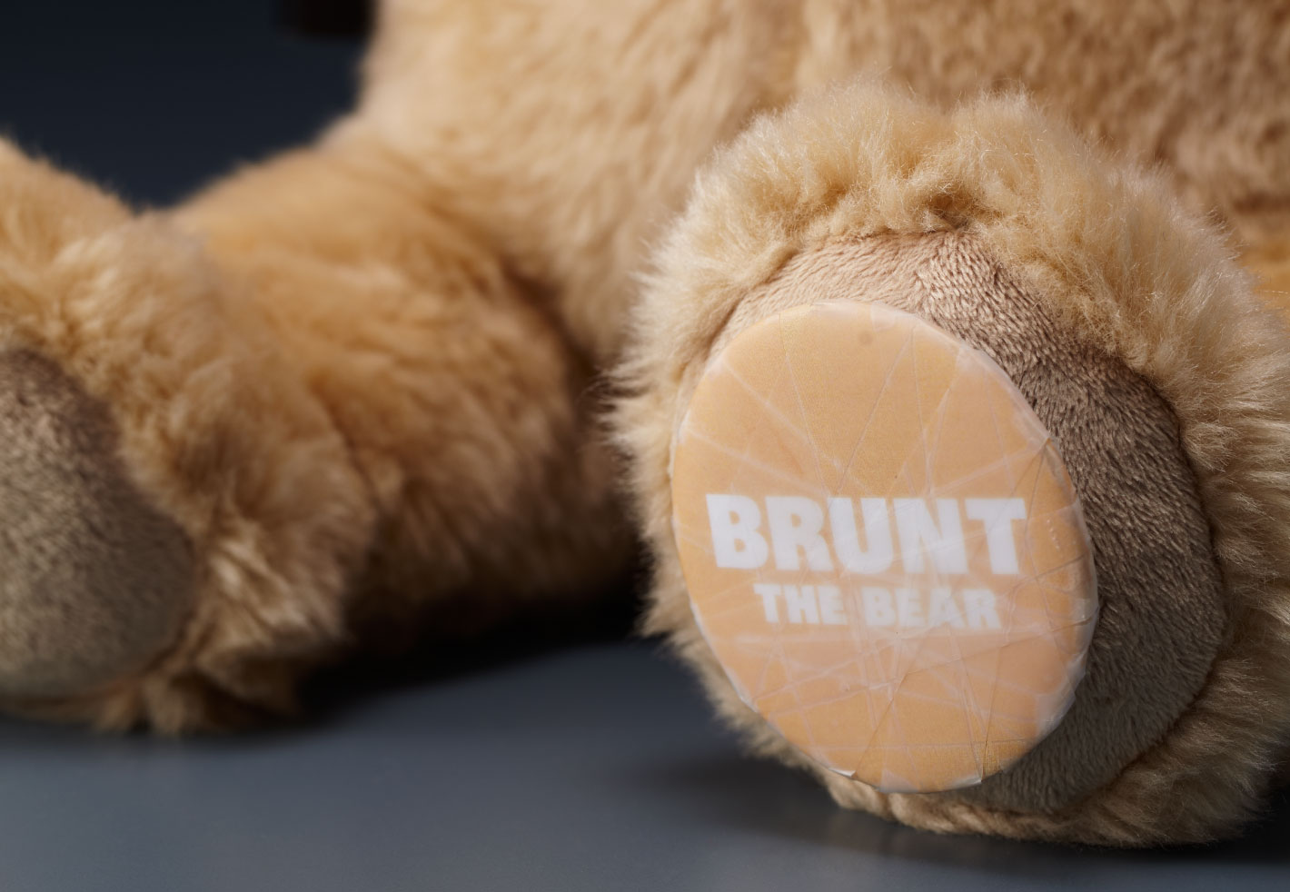 brunt-the-bear-work-larry